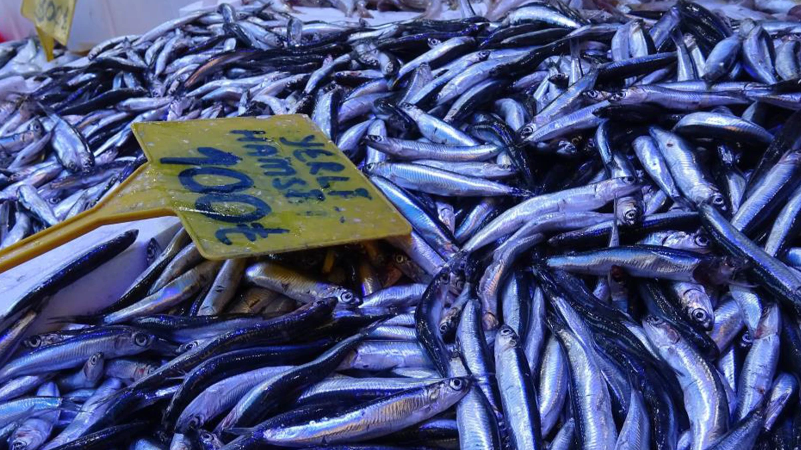 Fiyatı 300 TL'den 100 TL'ye düştü; kapış kapış satıldı