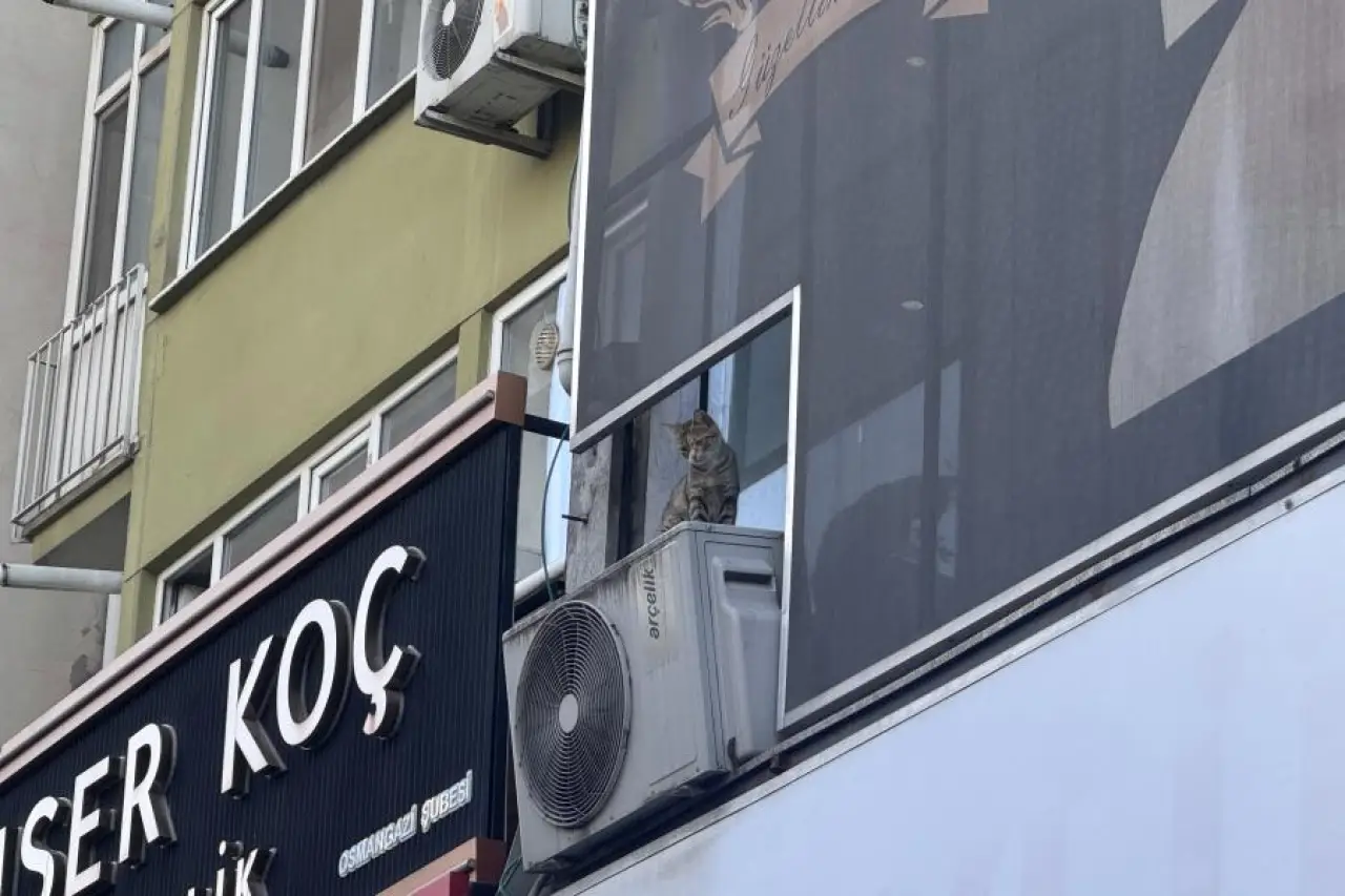 Bursa'da Kediyi Kurtarırken Pencereden Düşen Kişi, Tedavi Gördüğü Hastanede Öldü