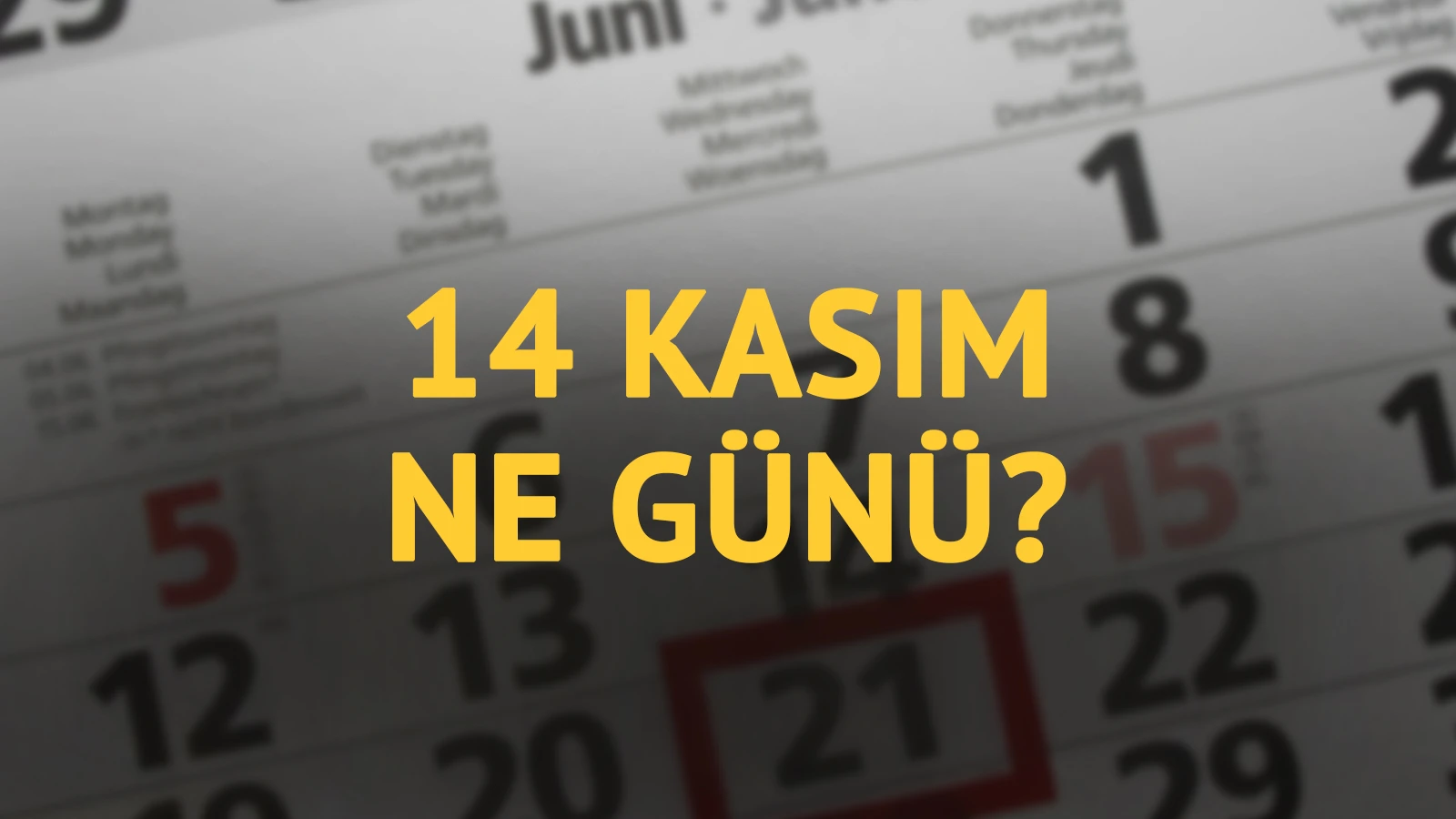 14 Kasım ne günü? 14 Kasım'ın anlam ve önemi ne?