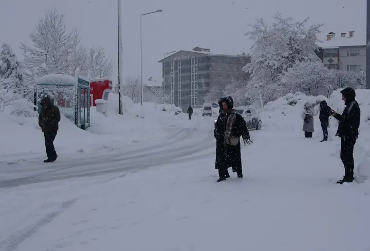 Bitlis ve Van'da 205 yerleşim yerinin yolu kardan kapandı