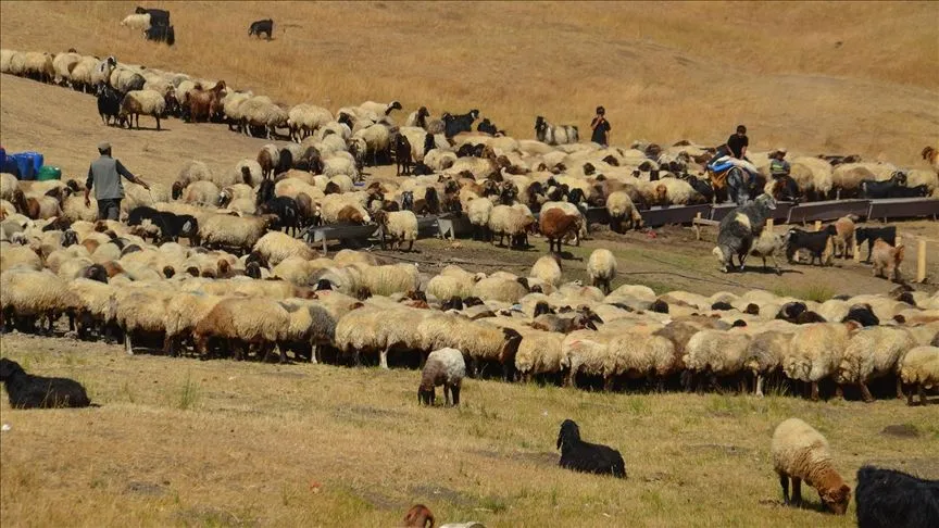 Havanın soğumasıyla yaylacıların dönüş yolculuğu başladı