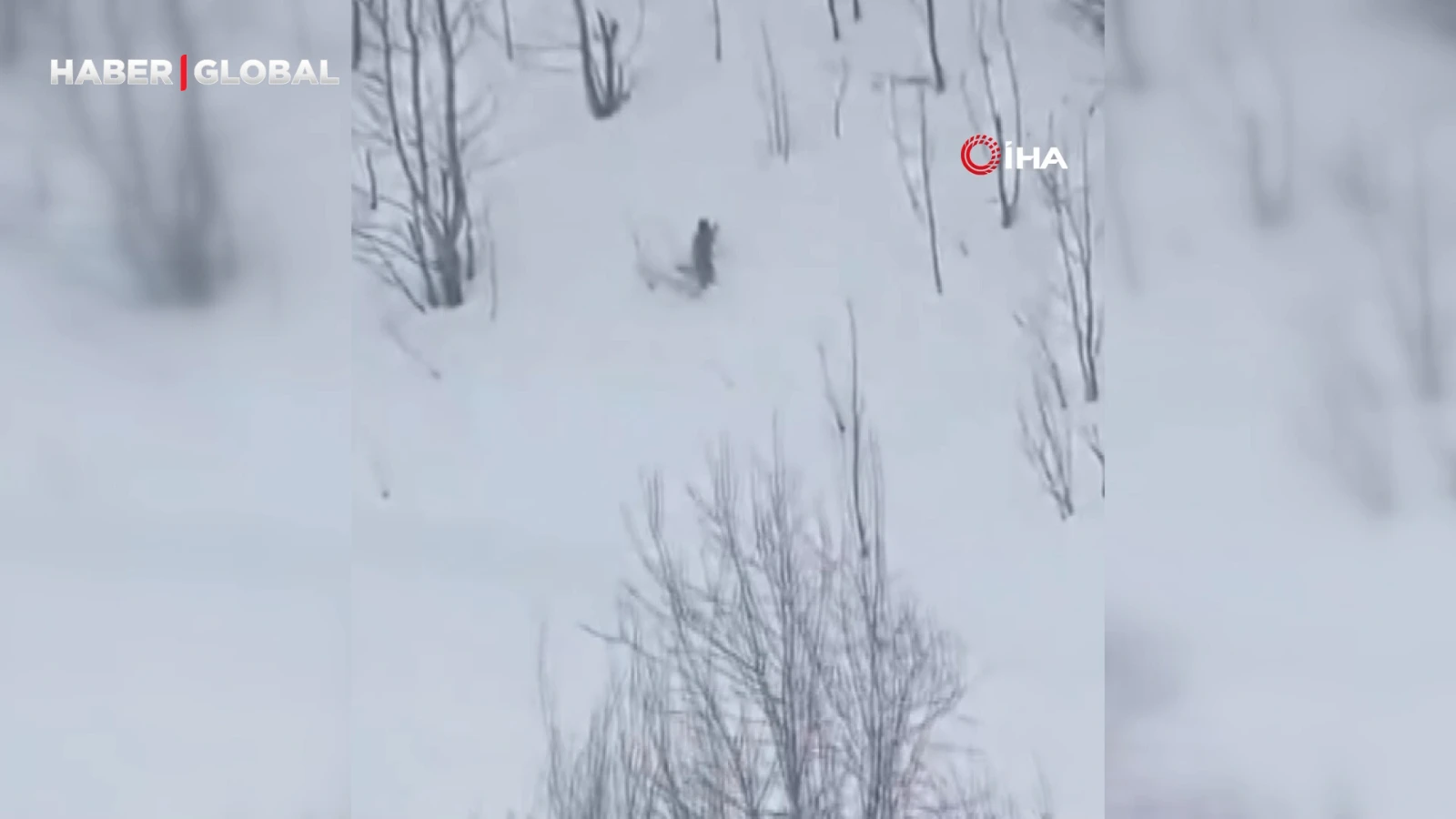 Gündüz vakti Ardahan’da karların arasında böyle yakalandılar