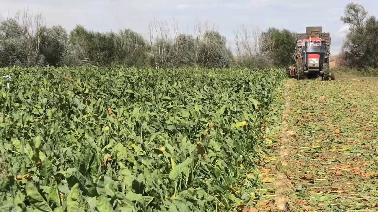 Artan Maliyet Altında Ezilen Çiftçiler İktidara Seslendi: Pancar Ekecek Üretici Bulamayacaksınız