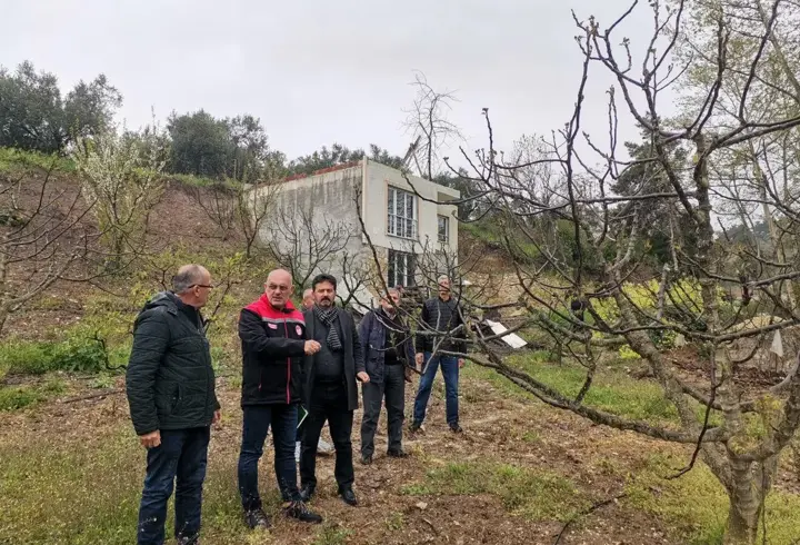 Mudanya'da zirai don nedeniyle meyve ağaçları zarar gördü