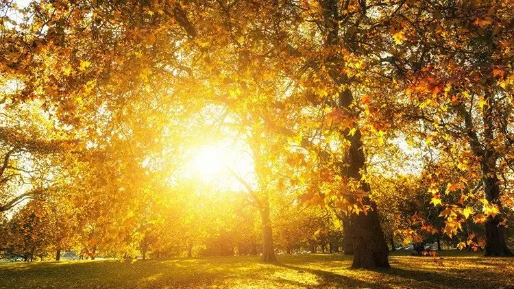 Meteoroloji Tarih Verdi! 2026 Pastırma Sıcakları Ne Zaman Başlayacak, Kaç Gün Sürecek? Pastırma Yazı Geçti Mi, Bitti Mi?