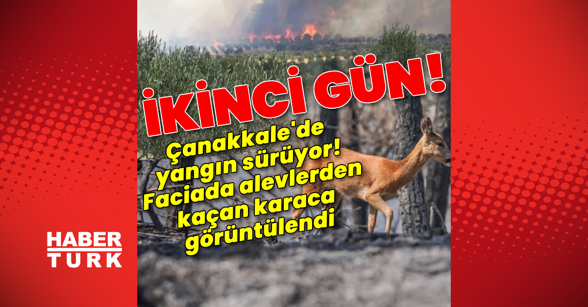 Çanakkale'de alevlerle mücadele sürüyor!