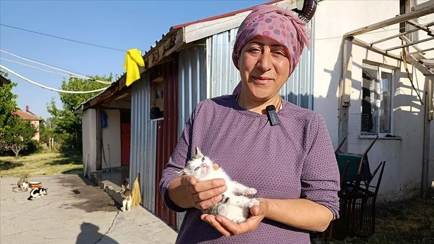 Hayvansever kadın müstakil evinin bahçesini sokak kedilerine yuva yaptı