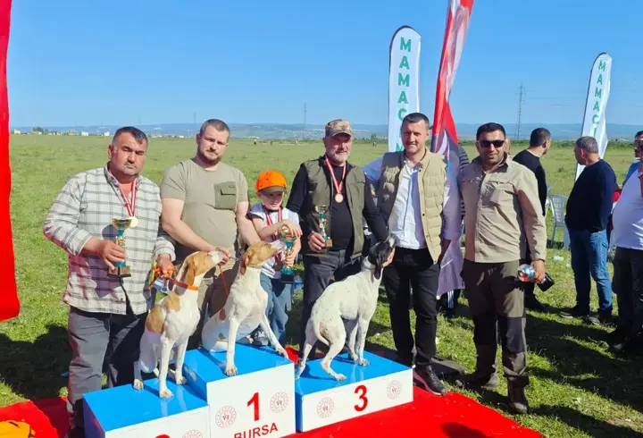 Fermalı av köpekleri yarıştı; avcılar yoğun ilgi gösterdi