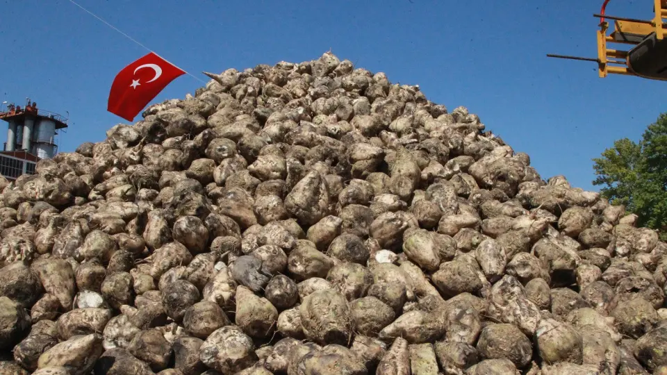 Şeker pancarı üretimine ilişkin kanun teklifi komisyonda kabul edildi