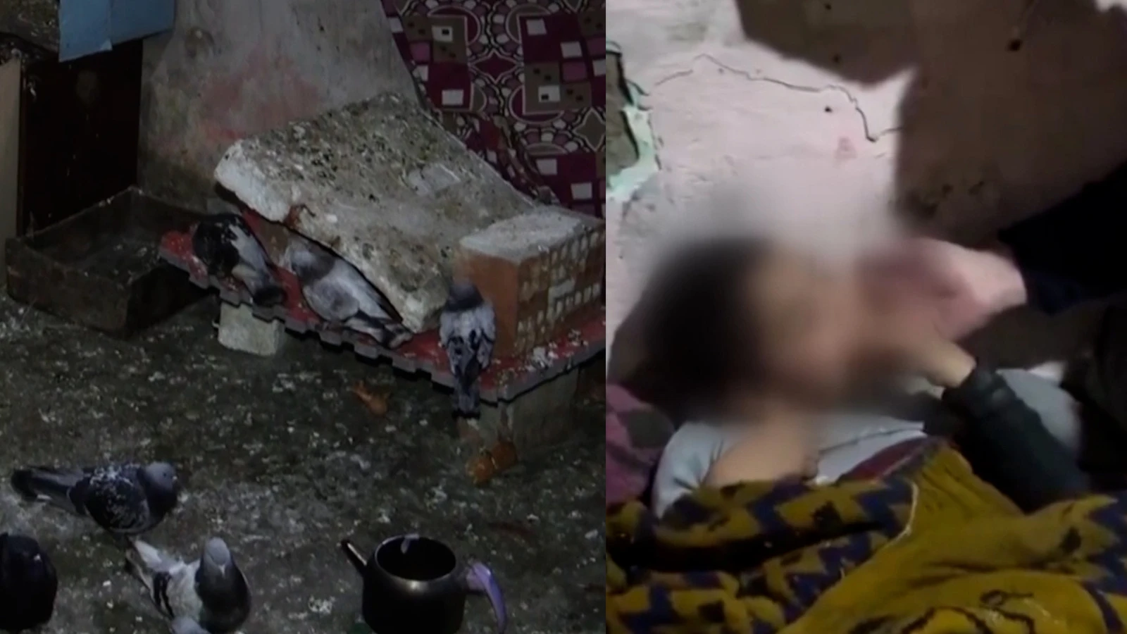 Kümeste yaşamaya zorlanan çocukların kaldığı alan görüntülendi