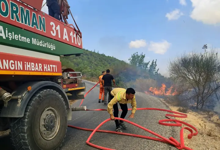 Suriye sınırında çıkan orman yangını kontrol altına alındı