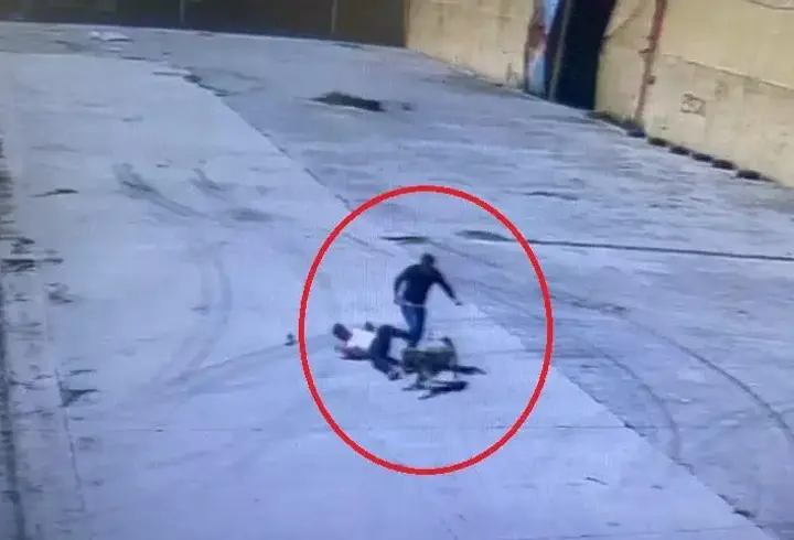 Sokak köpeğinin saldırdığı işçiyi arkadaşı kurtardı; o anlar kamerada