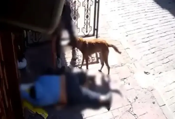 Sara nöbeti sonrası bayılan adamın telefonunu çaldılar