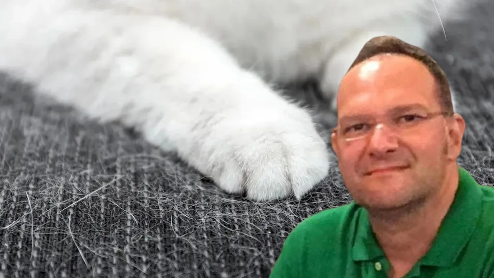 Ölüm nedeni 'kedi tüyü' denilmişti: Gerçek bambaşka çıktı
