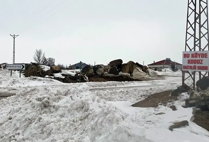Adilcevaz'da kuduz vakası tespit edilen köy, karantinaya alındı