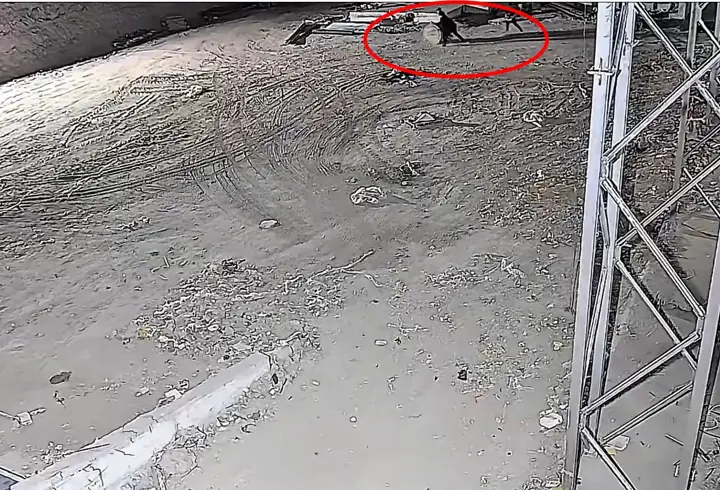 Diyarbakır merkezli 5 ilde kablo hırsızlığı; 6 tutuklama