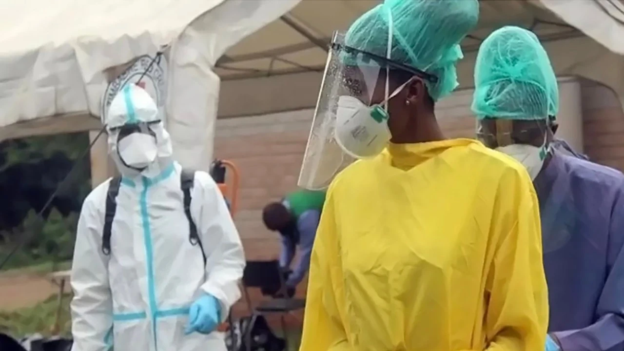 Senegal'de Rift Vadisi Ateşi salgınında ölü sayısı 29'a çıktı