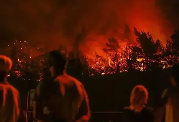 İzmir'de orman yangınına sebep olan kaynak ustası tutuklandı