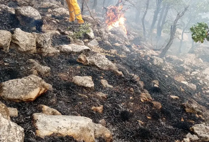 Diyarbakır'ın Lice ilçesinde ormanlık alanda çıkan yangına müdahale ediliyor
