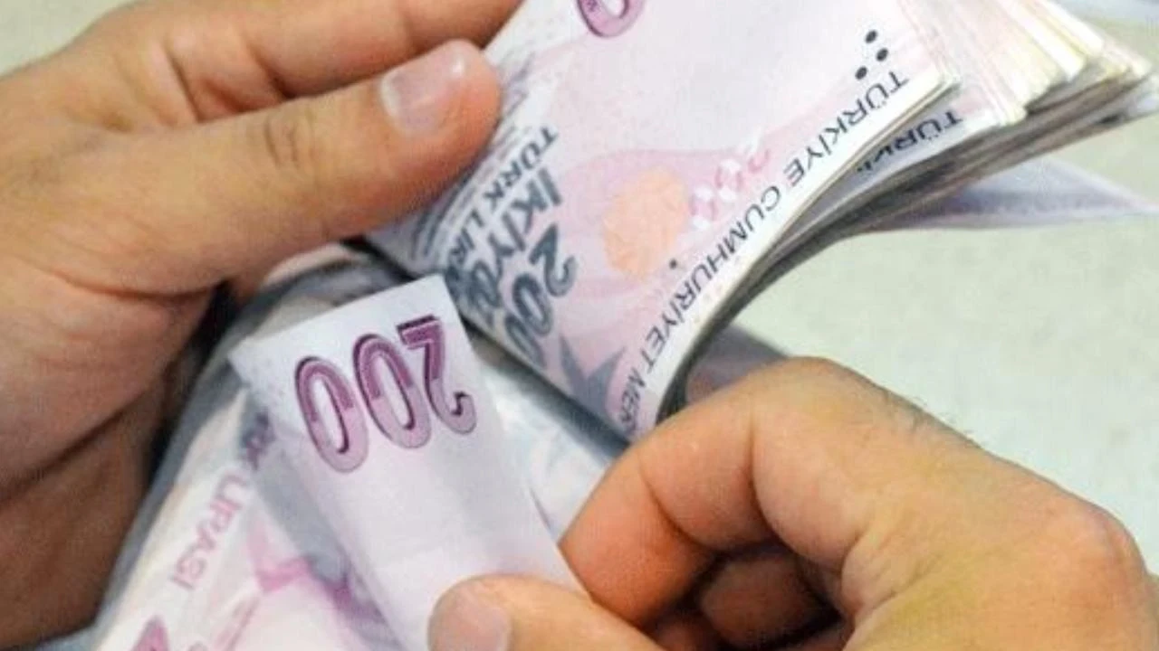 Vatandaşlık maaşında detaylar belli oldu!