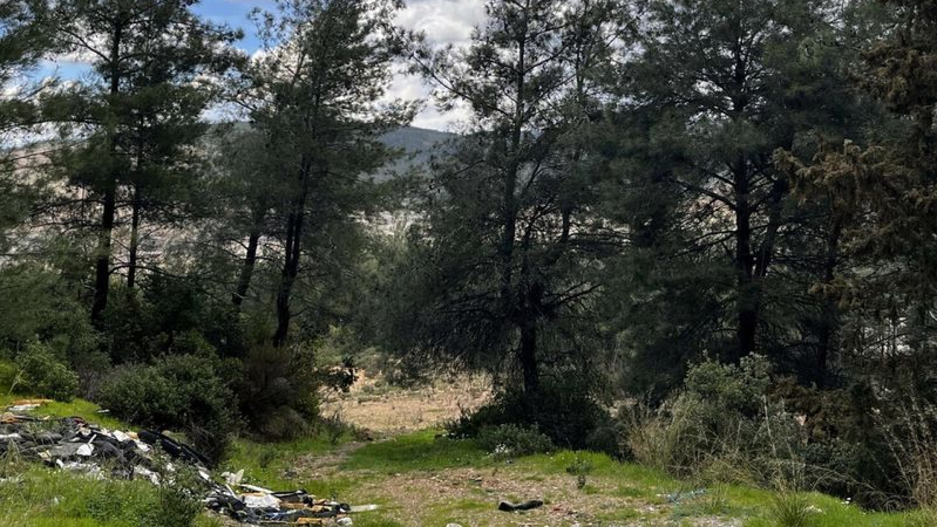 Danıştay’dan Akbelen Kararı