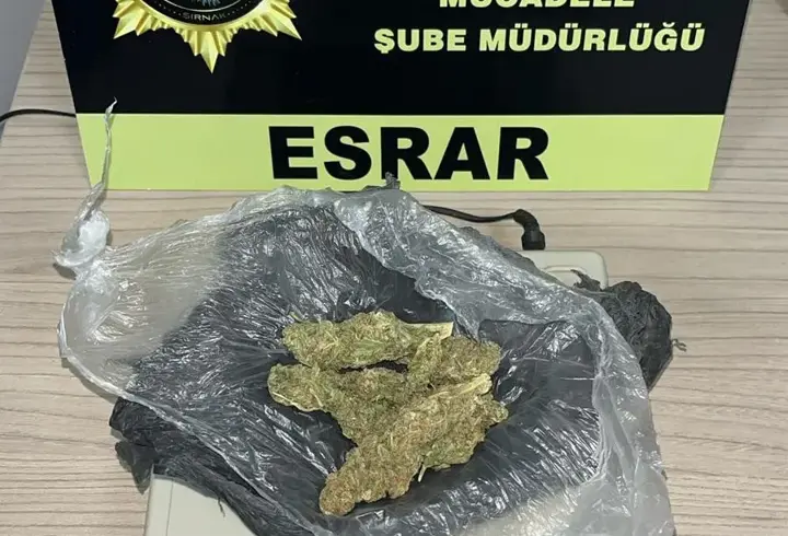 Şırnak’ta kaçakçılık ve narkotik operasyonlarında 3 tutuklama