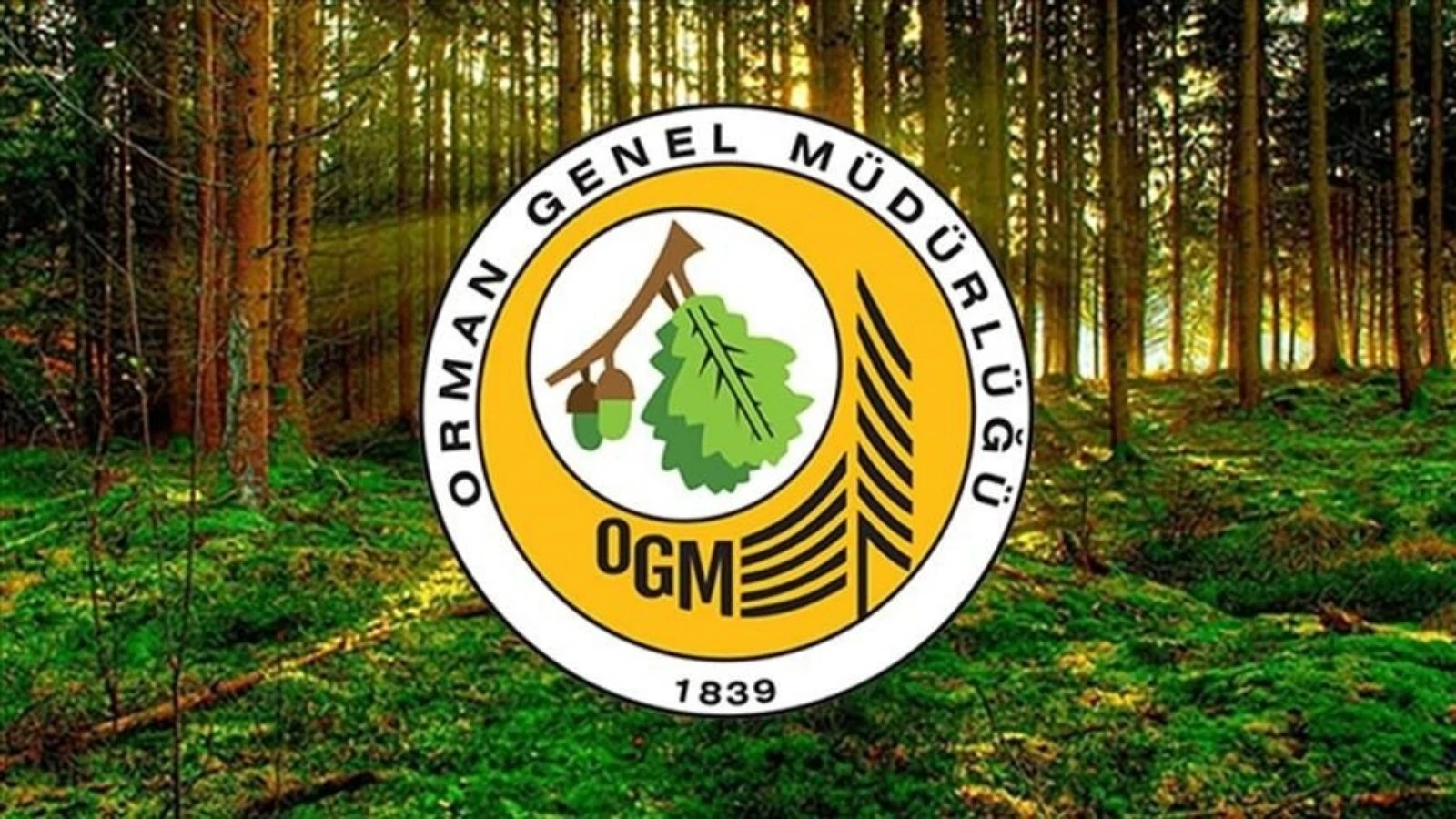 Orman Genel Müdürlüğünden Tekirdağ'daki orman yangınına ilişkin açıklama