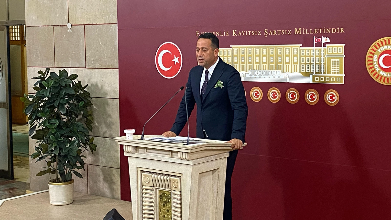 Ali Mahir Başarır: Zeytin ağaçlarının yerini değiştirmeyin