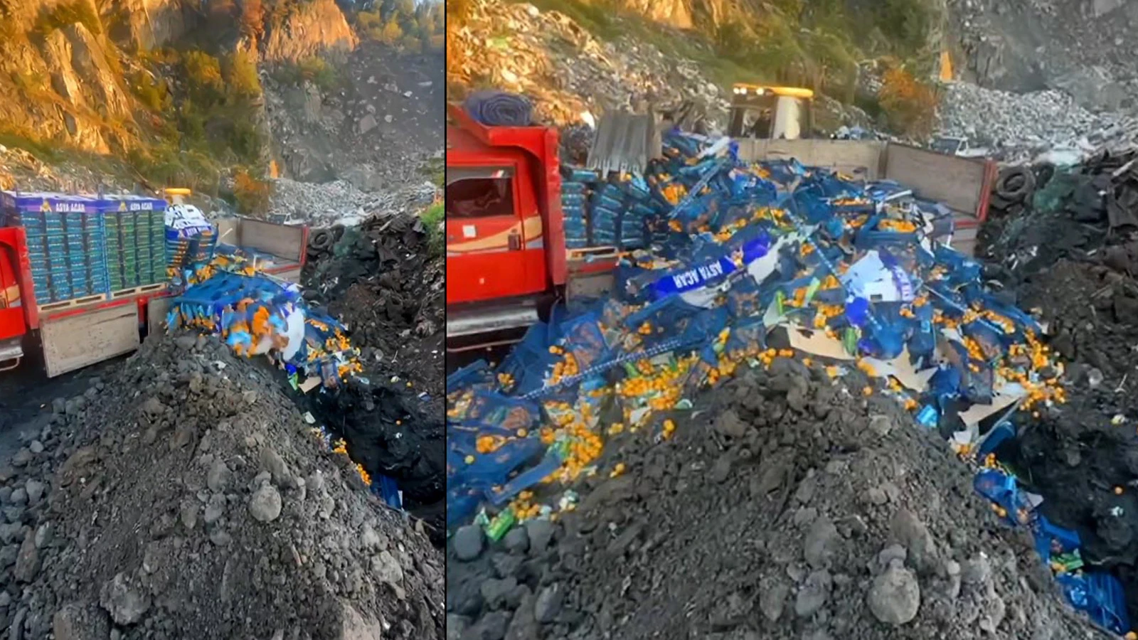 Sarp Sınır Kapısı'nda 6 ton mandalina imha edildi
