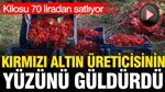Kırmızı Altın Hasadı Başladı: Kilosu 70 Liradan Satılıyor