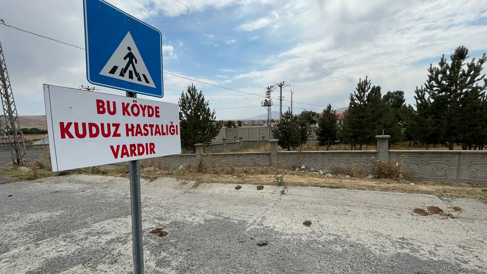 Tilkiyle boğuşarak ölen köpeğin kuduz olduğu tespit edildi, belde karantinaya alındı