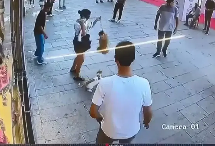 Esnafın maskotu: Kızgın Muhtar! Bu defa da köpeğe saldırdı
