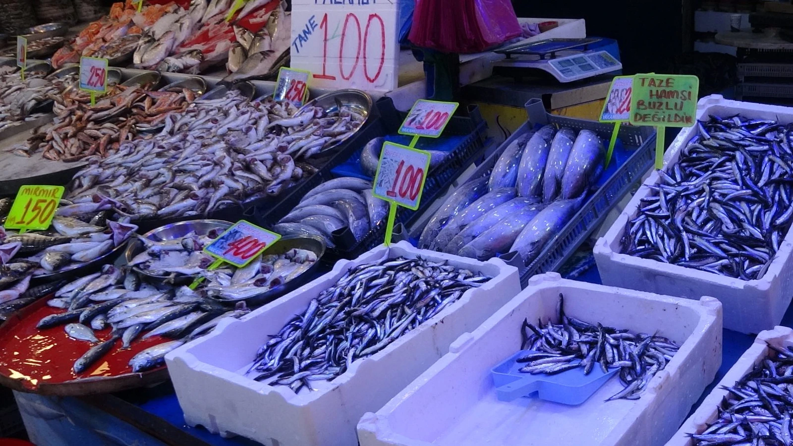 Rize'de deniz suyu ısındı; balık bolluğu azalsada çeşitlilik sürüyor