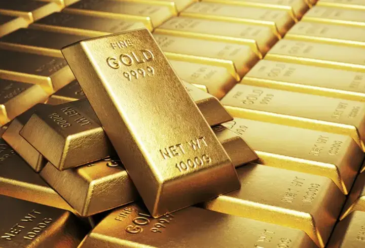 ALTINDA YENİ REKOR GELİR Mİ? Bir düşüyor bir yükseliyor...