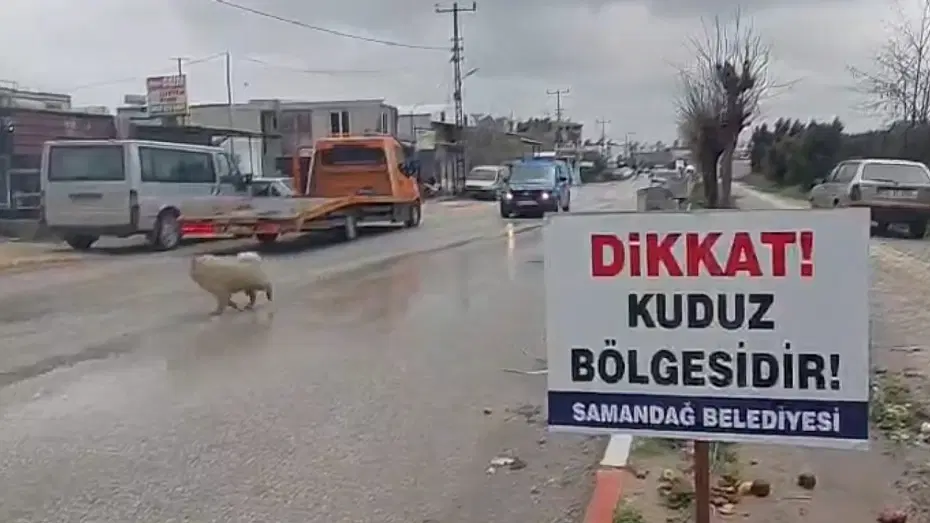 Hatay'da 4 mahalle kuduz nedeniyle karantinaya alındı