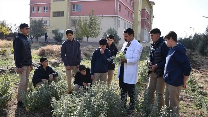Üniversite öğrencilerinin uygulamalı eğitimi en az 1 dönem olacak