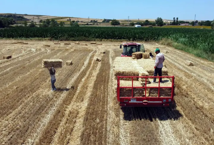 Edirne'de hasadın tamamlandığı tarlalarda kavurucu sıcakta balya mesaisi