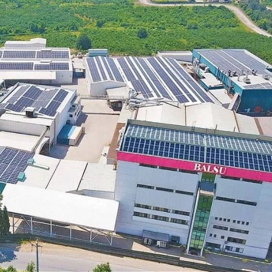 Balsu Gıda'dan 4,6 Milyar TL'lik Hamle: Yüzde 57 Maliyetli Borç Kapatıldı