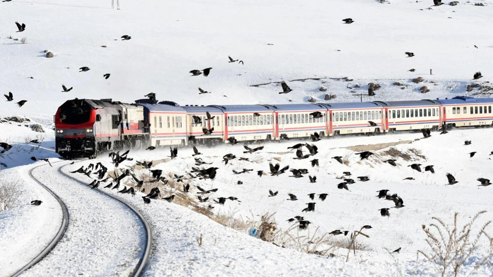 Turistik Doğu Ekspresi seferleri başladı! Öğrencilere müjde