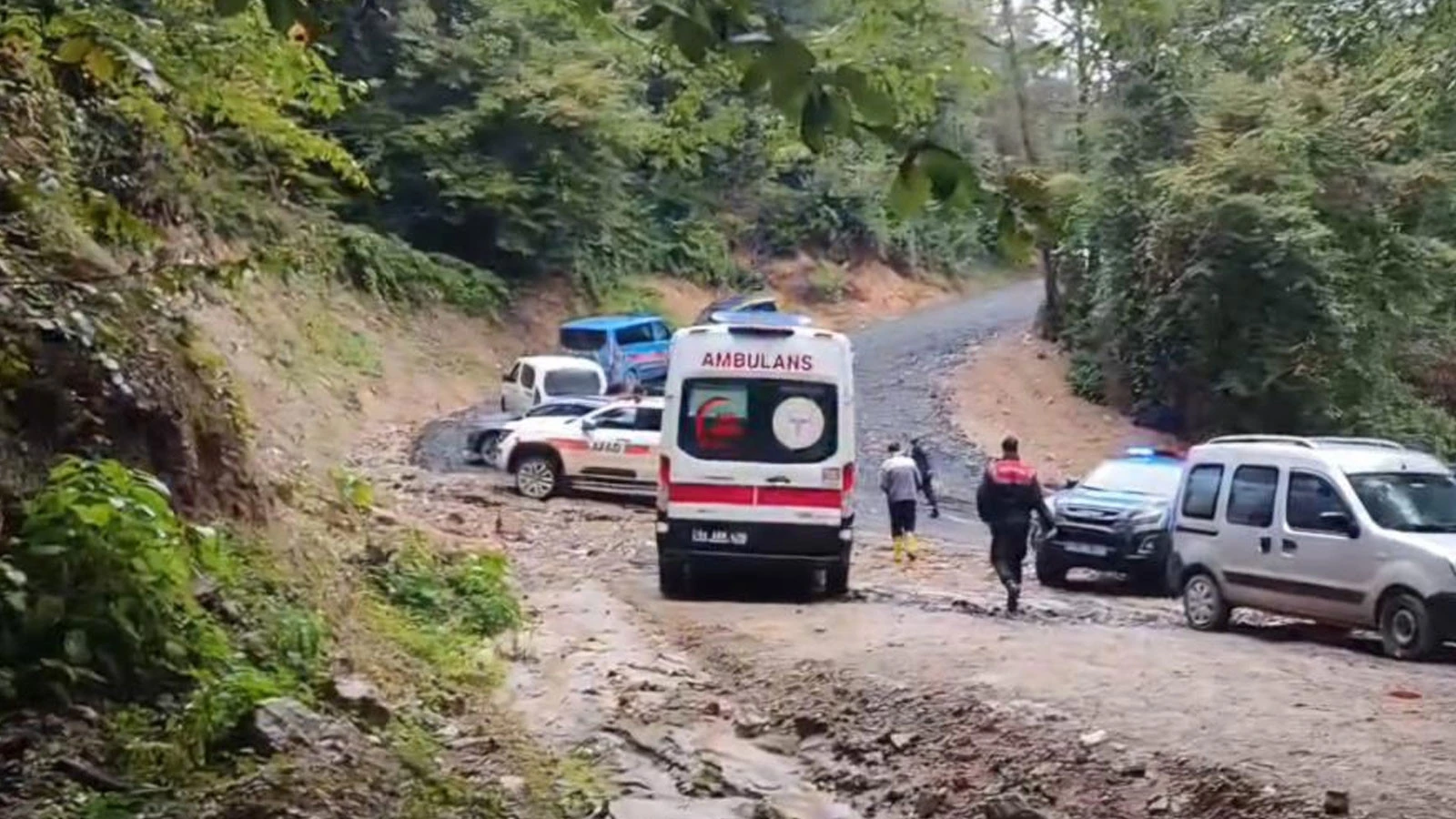Kestane Toplamak İçin Girdiği Ormandan Cansız Bedeni Çıktı