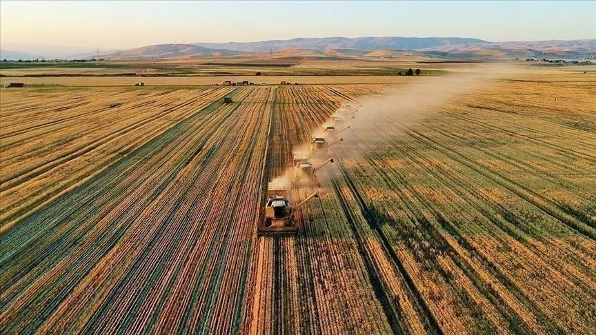 Çiftçilere 338,3 milyon liralık tarımsal destekleme ödemesi bugün yapılıyor