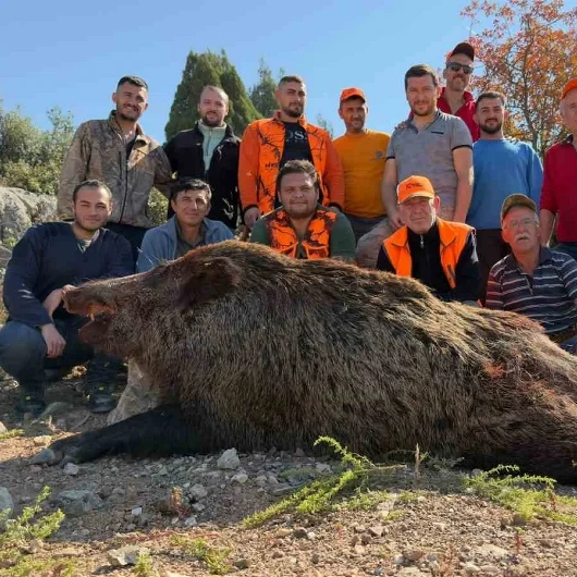Bilecikliler Kabusu Yaşadı: Tam 167 Kiloluk Domuz Bahçelere Dadandı