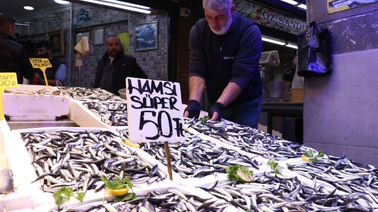 Trabzon'da hamsi bereketi: Kilosu 50 TL'ye düştü