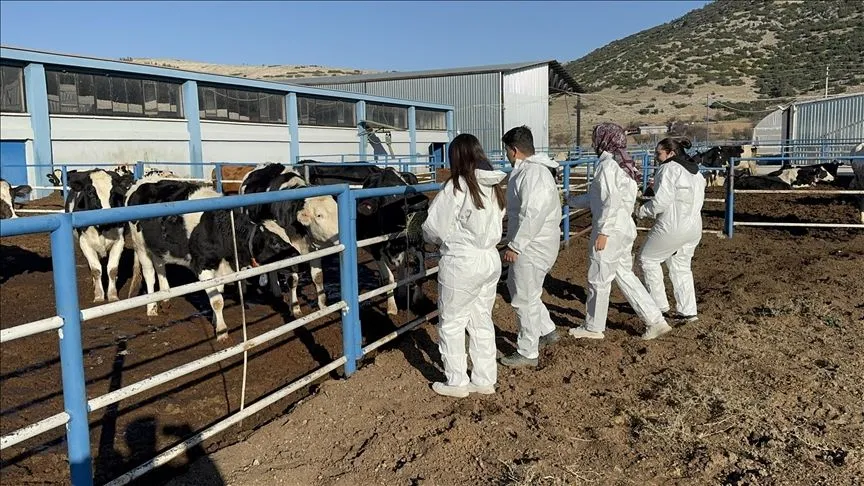Üniversitenin uygulama çiftliği öğrencilere sahada eğitim imkanı sunuyor