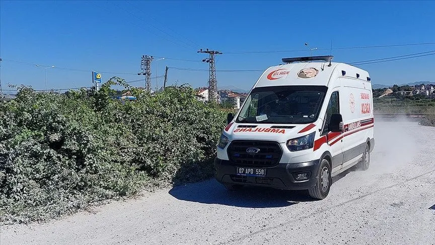 Manavgat'ta hayvan parkından kaçan aslan bir kişiyi yaraladı