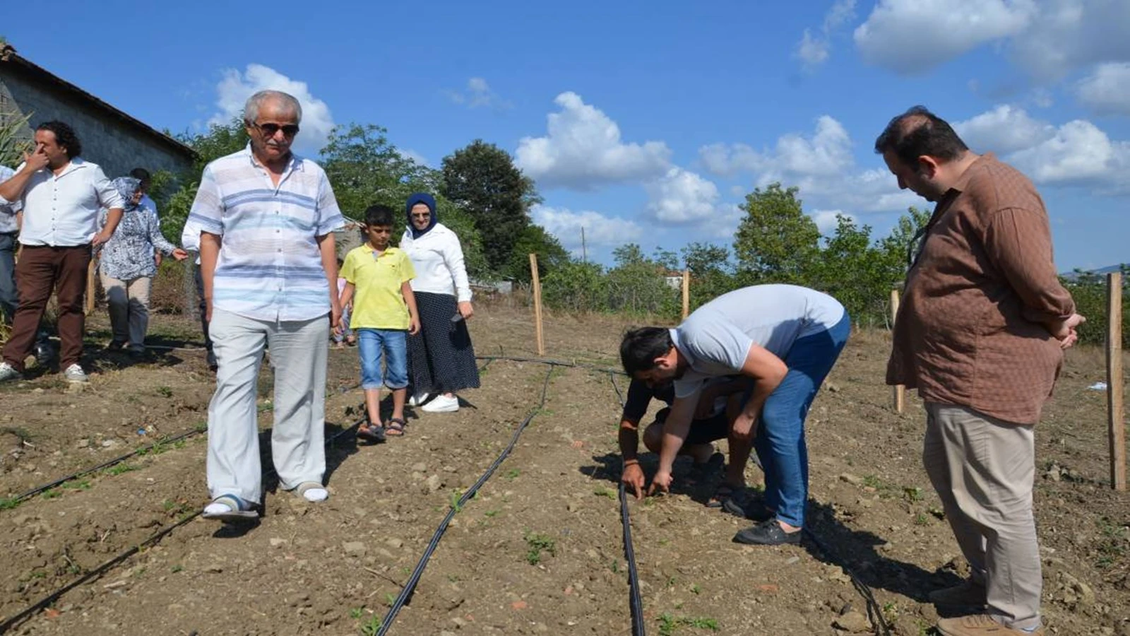 60 günde 3 metre oluyor : Tarımda yeni gözde haline gelen bitki