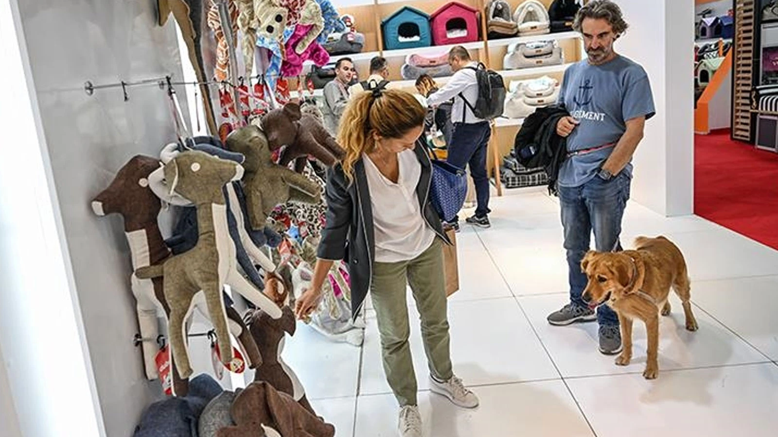 Mart ayının zam şampiyonu ev hayvanları ve ürünleri oldu