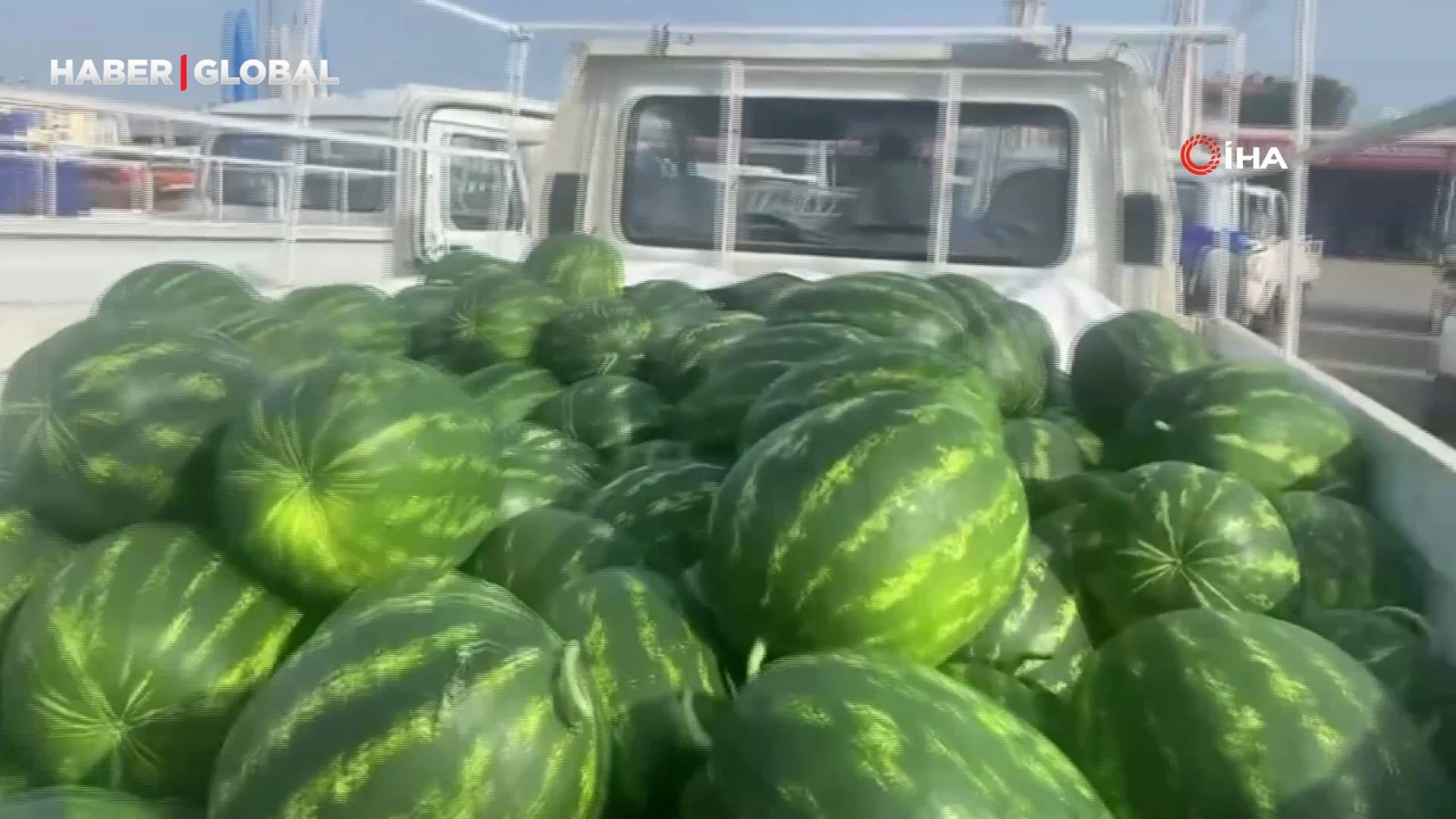 Antalya'da sezonun ilk karpuz hasadı, kilosu 40 liradan satılıyor