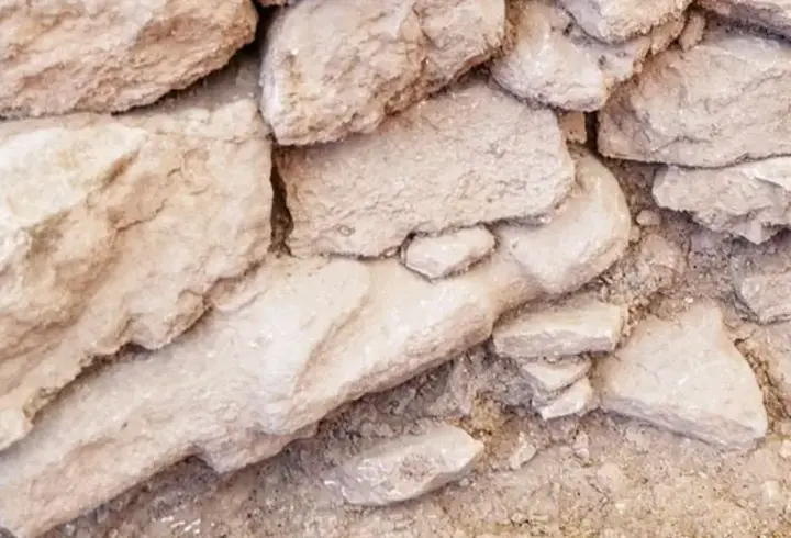Göbeklitepe'nin duvar içindeki insan heykeli: 12 bin yıllık lanet mi uyandı?