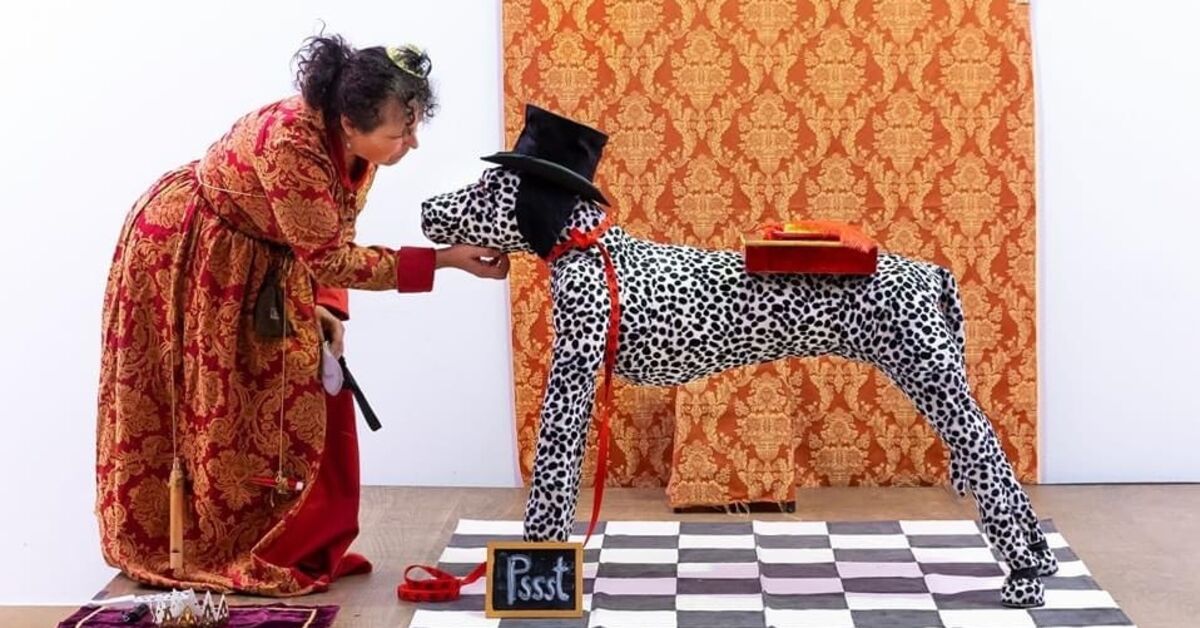 'Köpek Biti Sirki' Enka Sanat - Son Dakika Haberleri - Habertürk